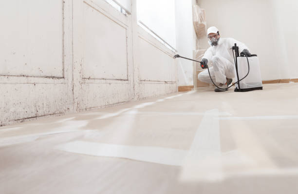 24/7 Emergency Commercial Mold Remediation experts in Milton, GA