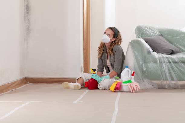 Reliable Mold Cleanup contractor in Milton, GA by Cheap Mold Removal