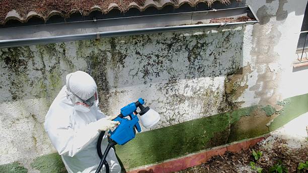 Trusted Commercial Mold Remediation service in Milton, GA - Cheap Mold Removal